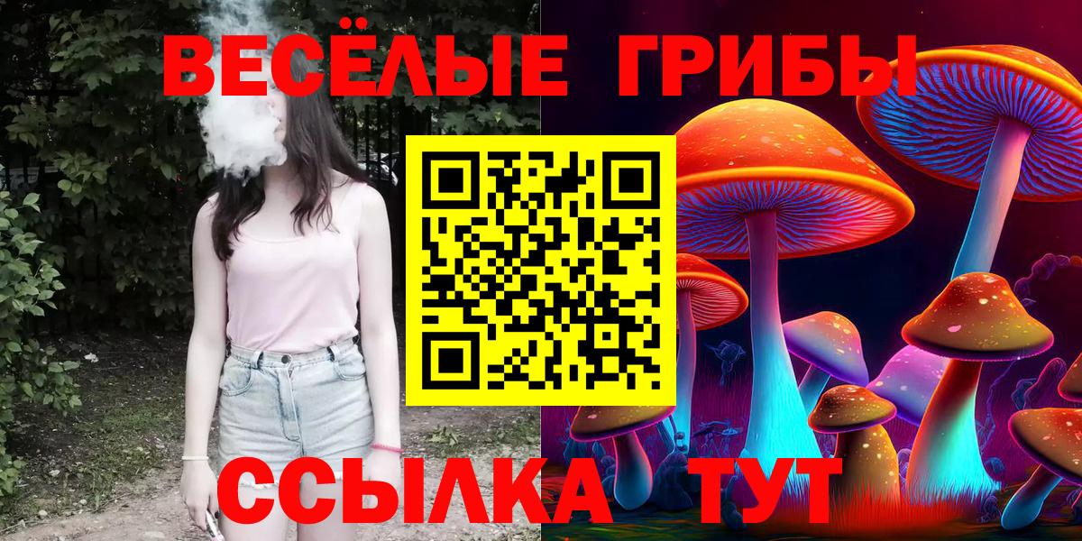 Галлюциногенные грибы прущие грибы  Вход с VPN  Набережные Челны  Галлюциногенные грибы Psilocybine cubensis 